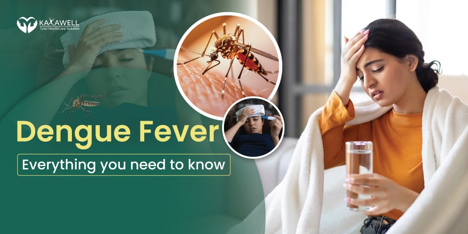 Dengue-Fever