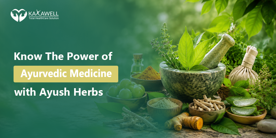 Know The Power of Ayurvedic Medicine with Ayush Herbs