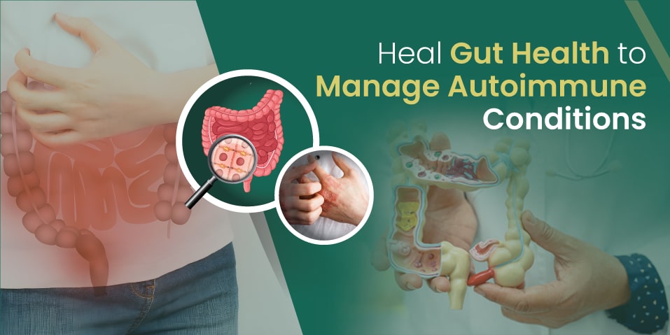 heal gut health
