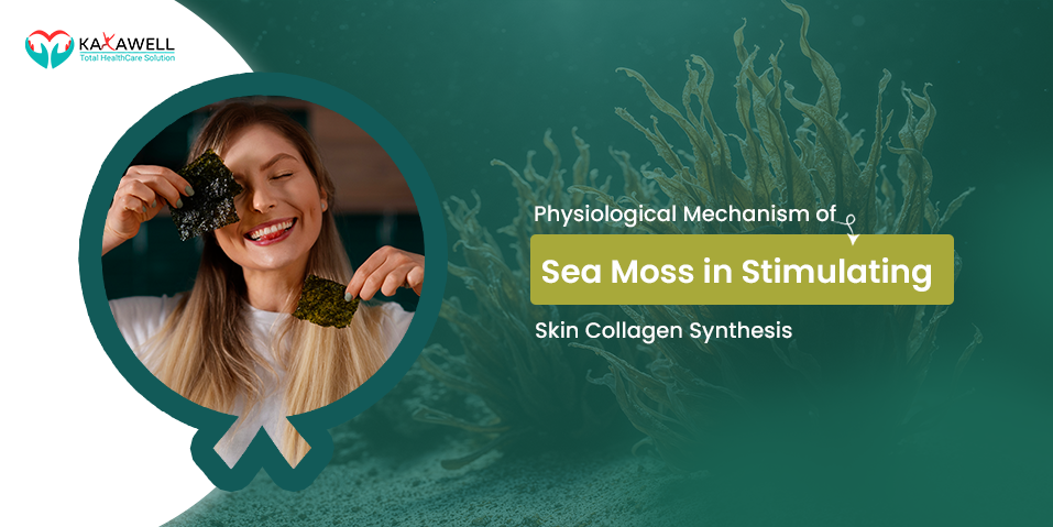 Sea Moss in Stimulating