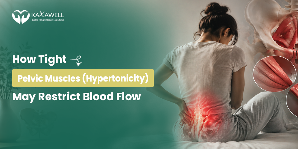 How Tight Pelvic Muscles (Hypertonicity) May Restrict Blood Flow